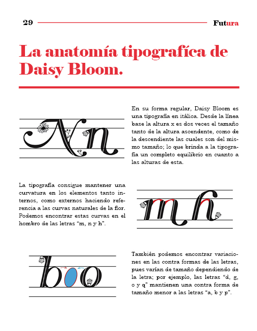 Folleto Futura y Daisy Bloom34